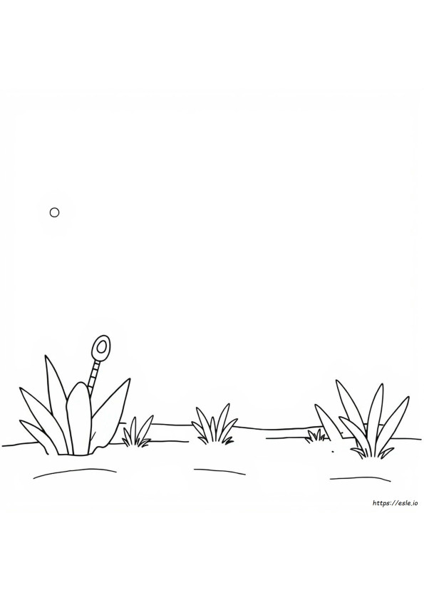 Coloring Blank