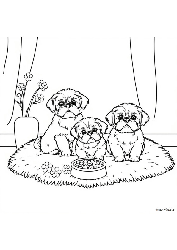 Shih Tzu Ausmalbilder