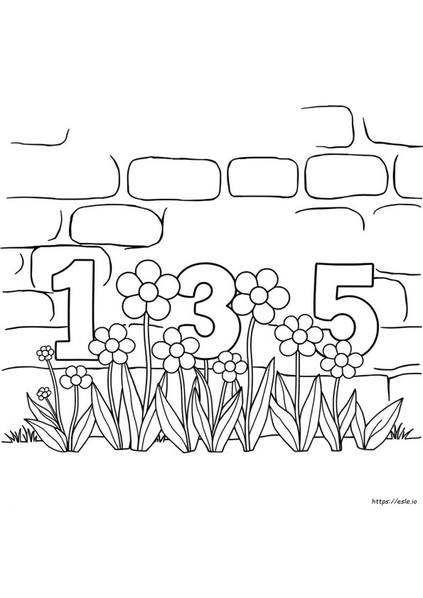 Numeri Con Bei Colori