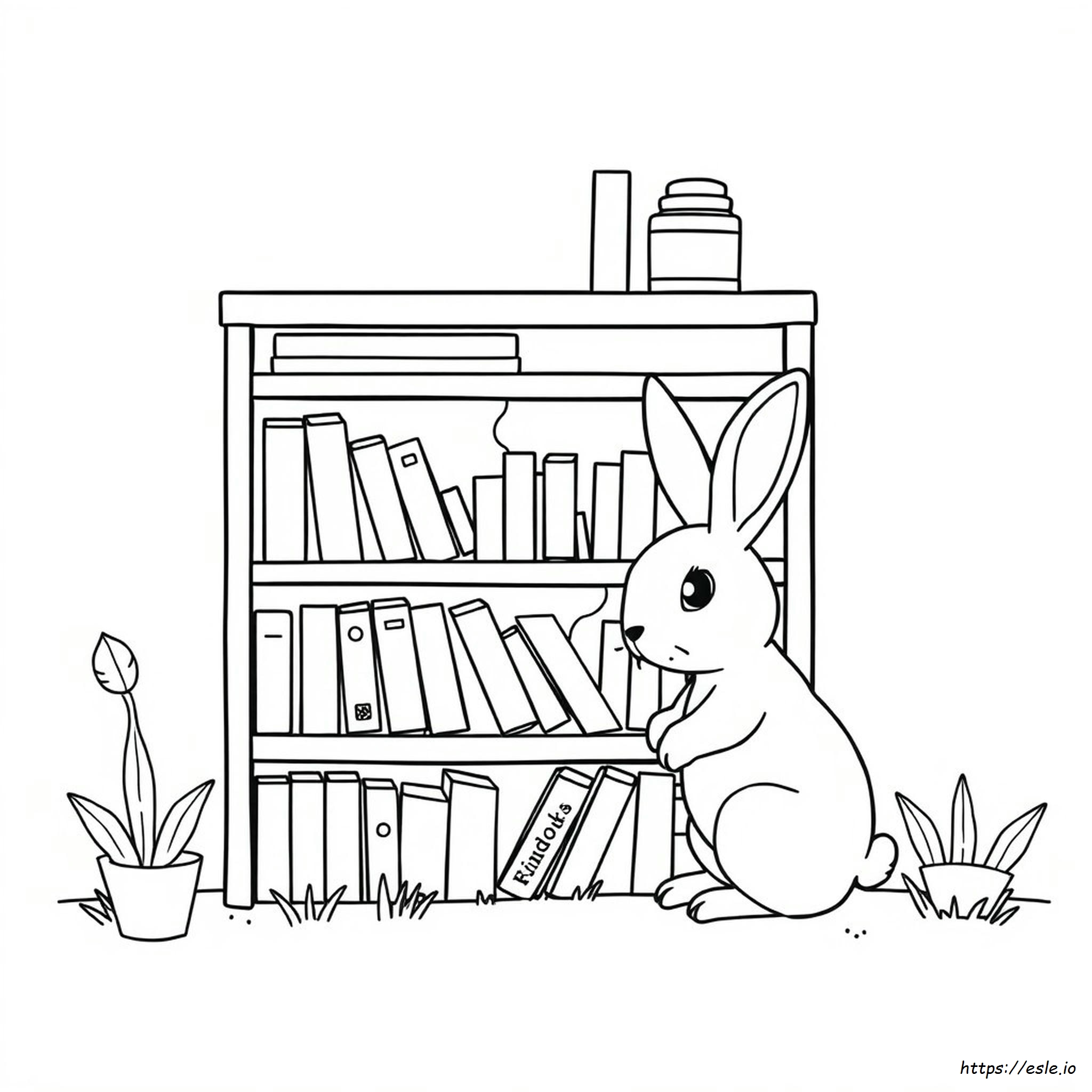 Miniature Coloring Books