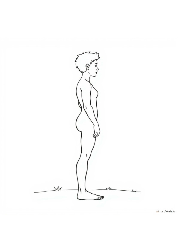 Coloring Human Body