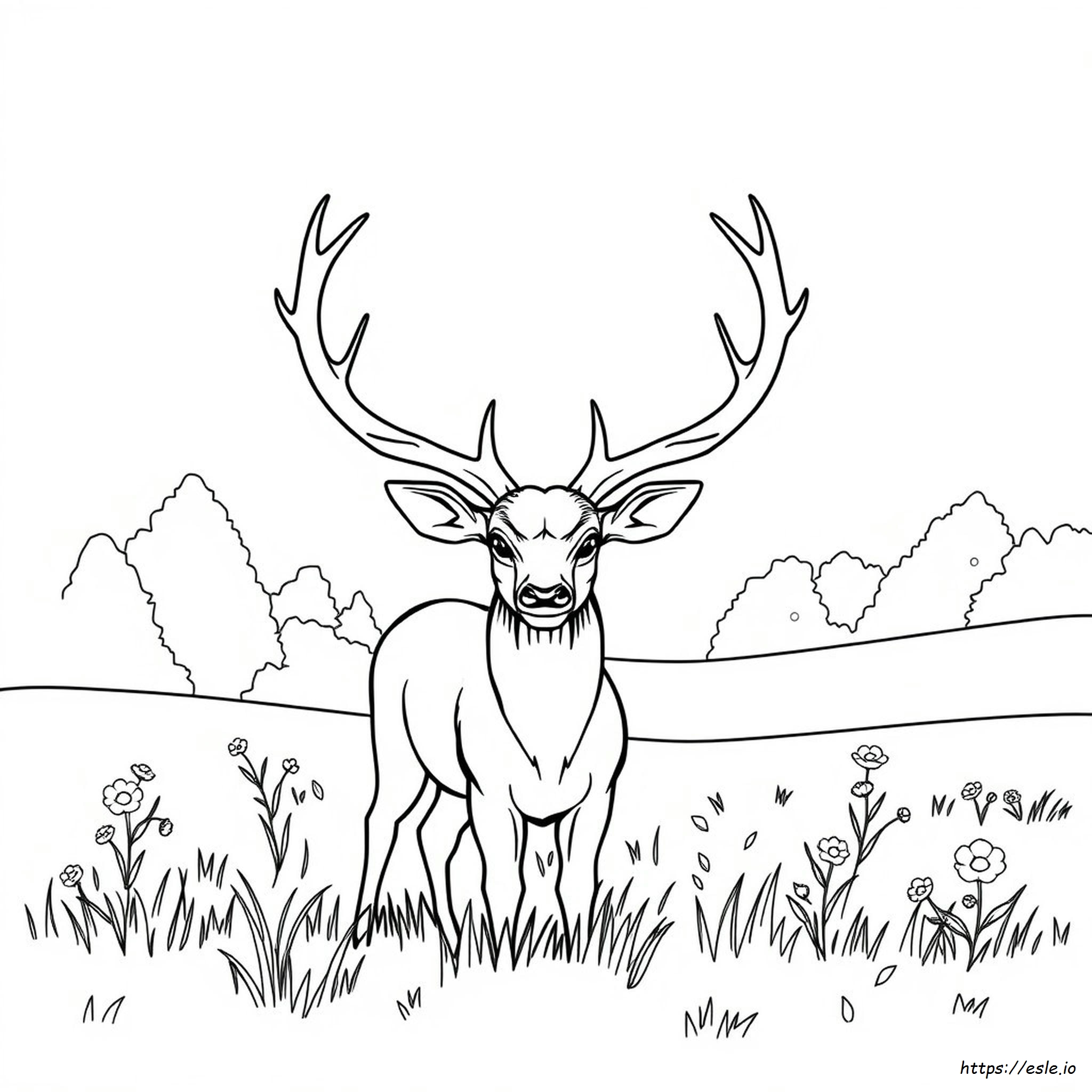 Coloring Pages Of Deer Antlers