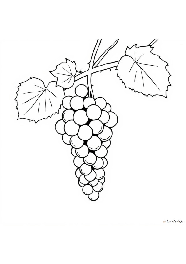 Colouring Page Of Grapes