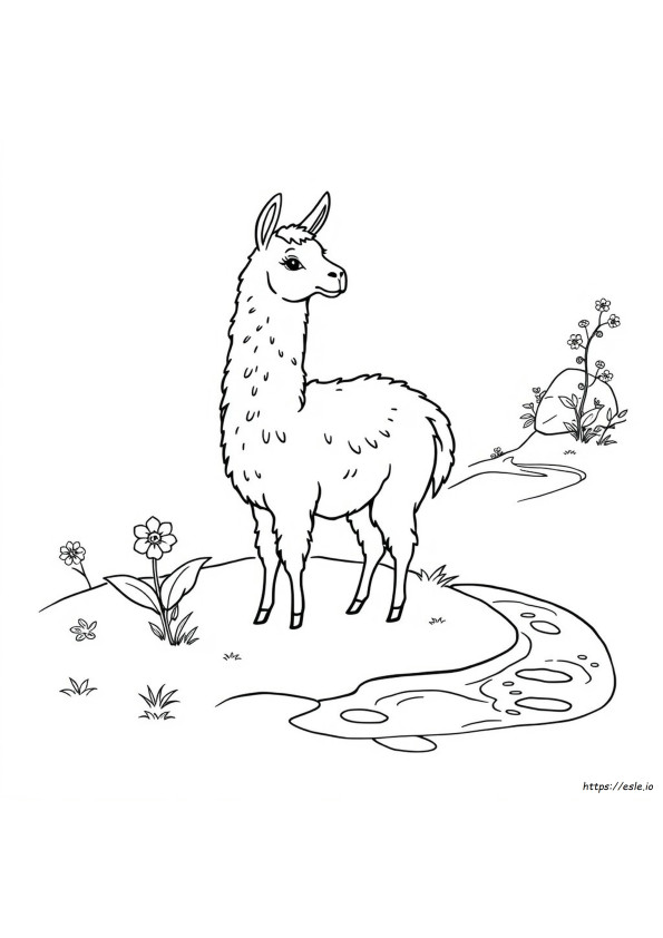 Lhama Fácil Para Colorir