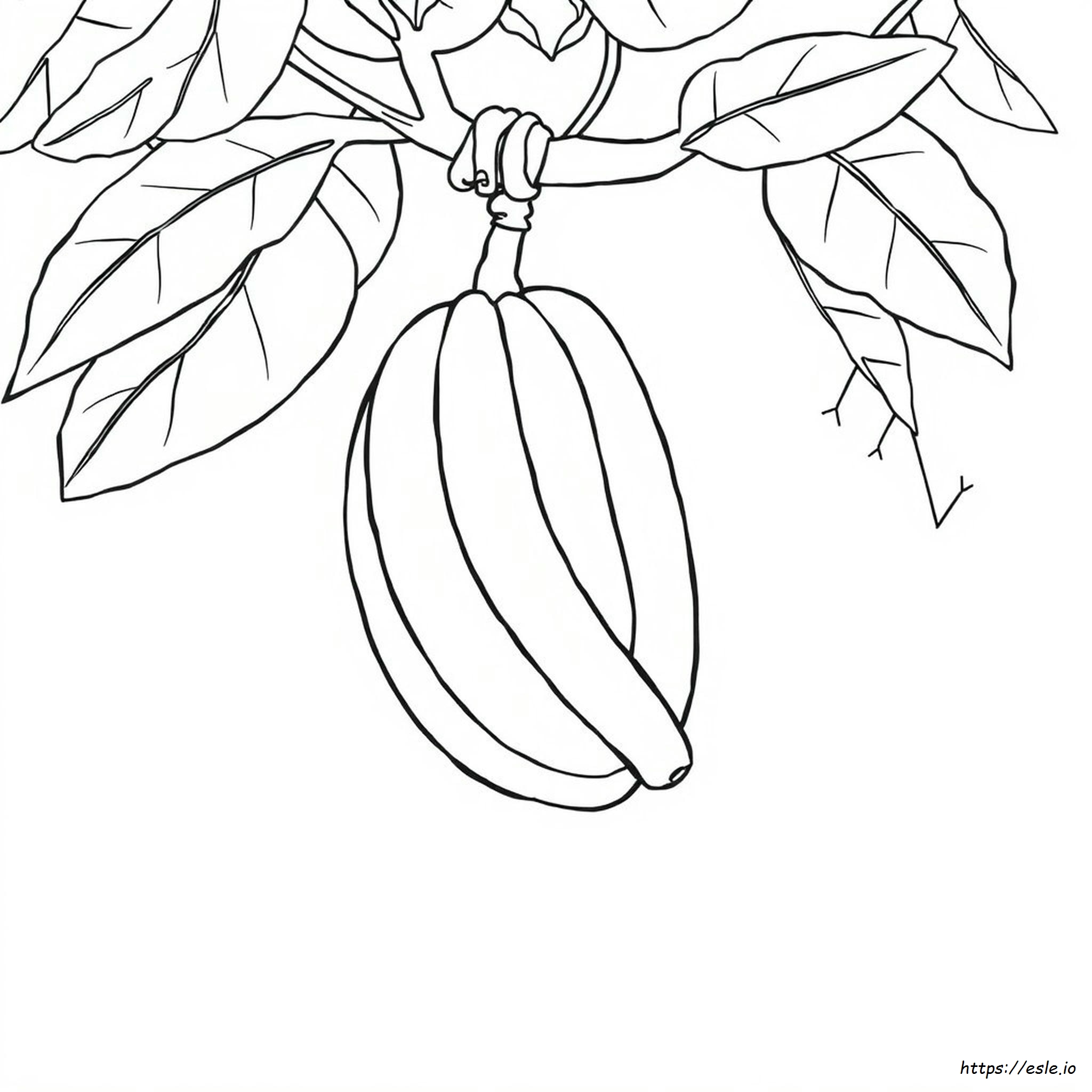 Banana Colouring Worksheet