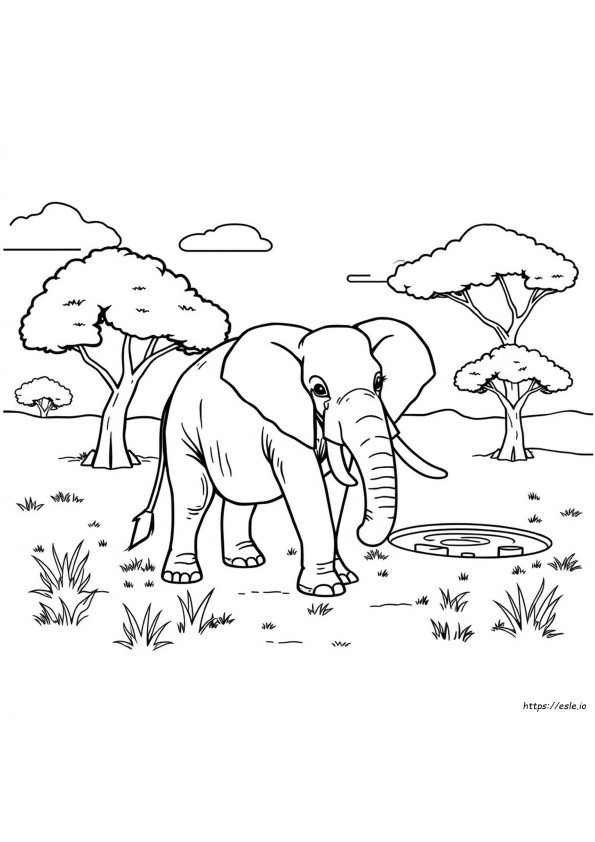 Desenhos De Elefantes Para Colorir