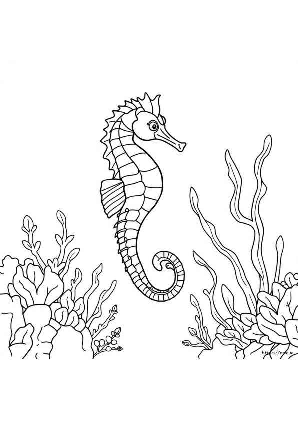 Páginas Para Colorear De Caballitos De Mar Realistas Para Adultos