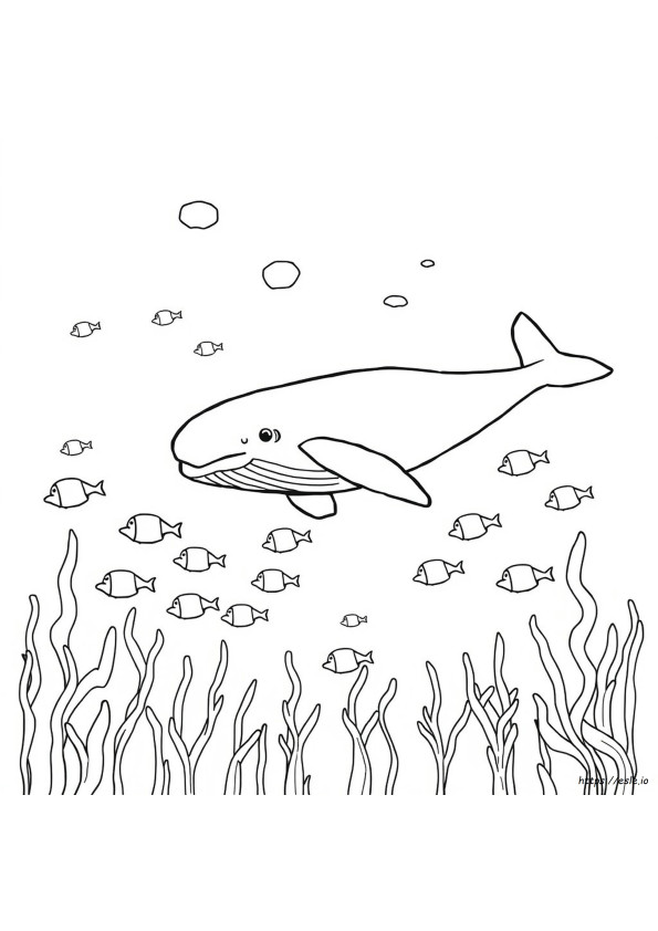 Dibujo De Ballena Para Colorear