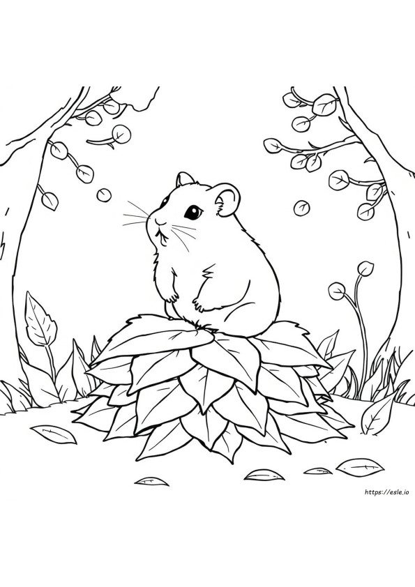 Gambar Mewarnai Hamster
