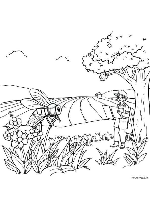 Coloring Pages For Careers