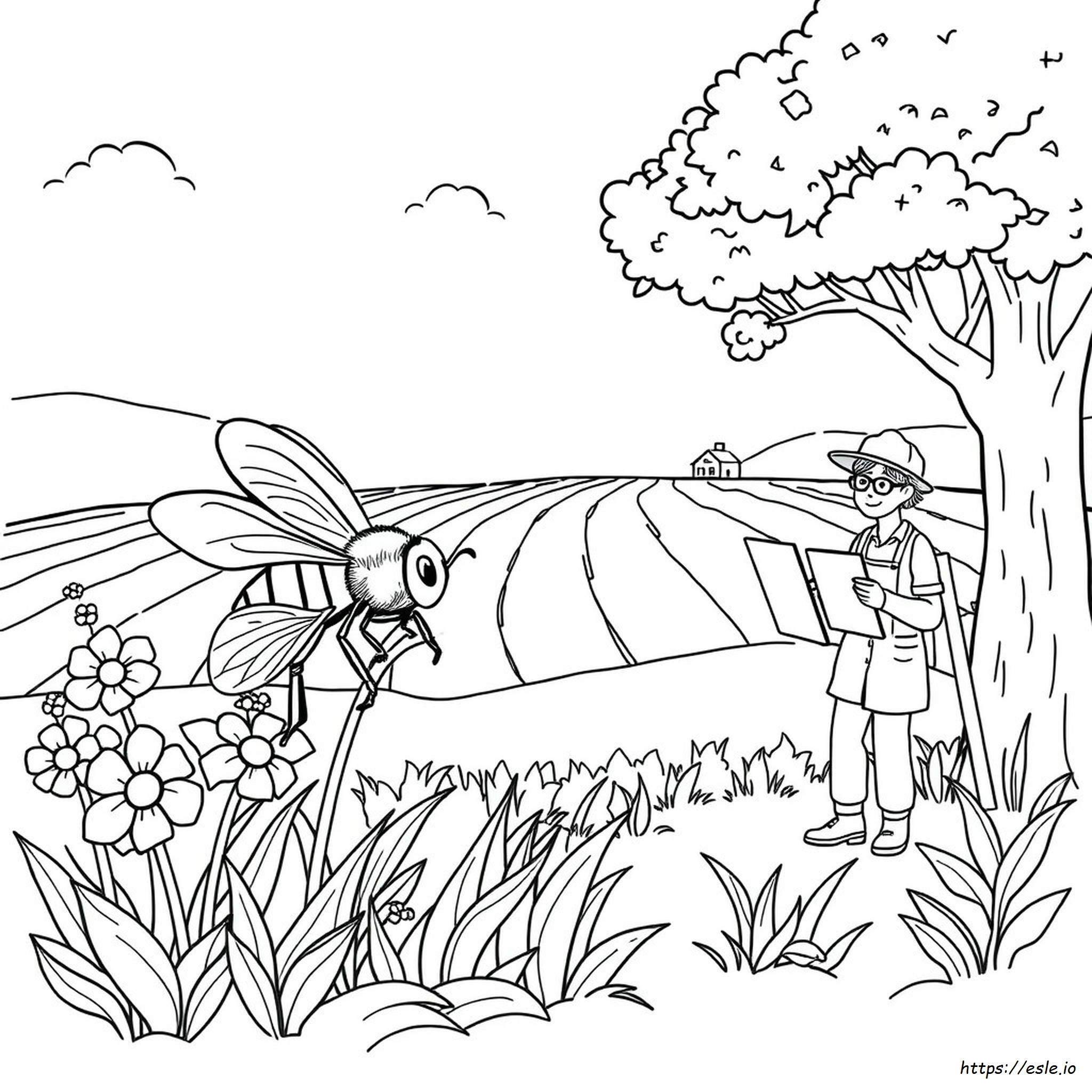 Coloriages Sur Les Métiers