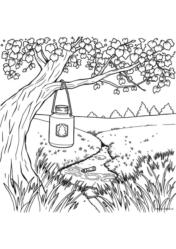 Cantina Para Colorir