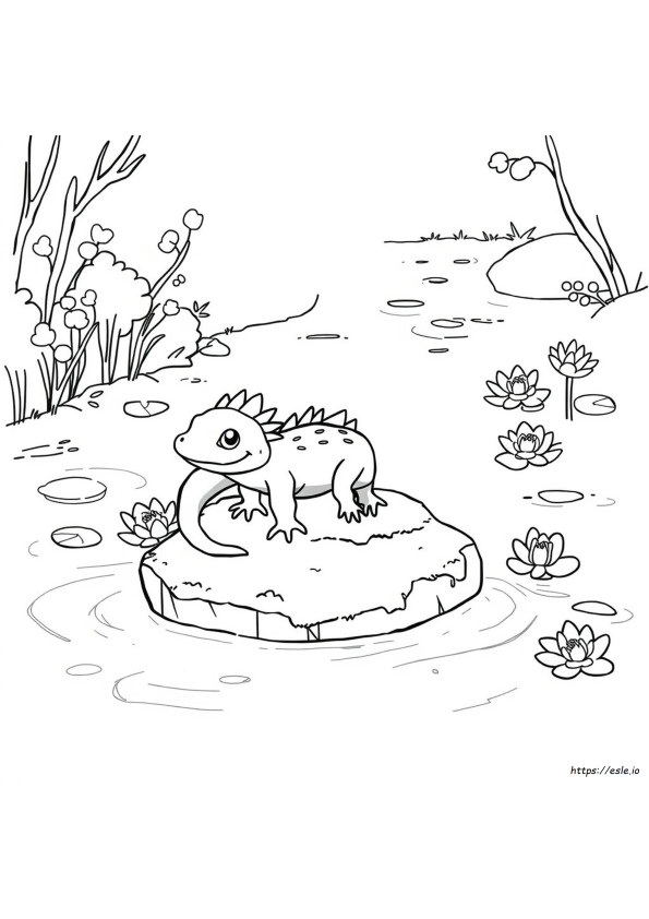 Axolotl Cartone Animato Carino Da Colorare