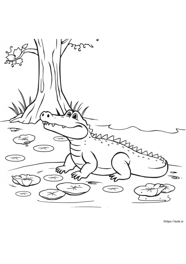 Coloring Alligator