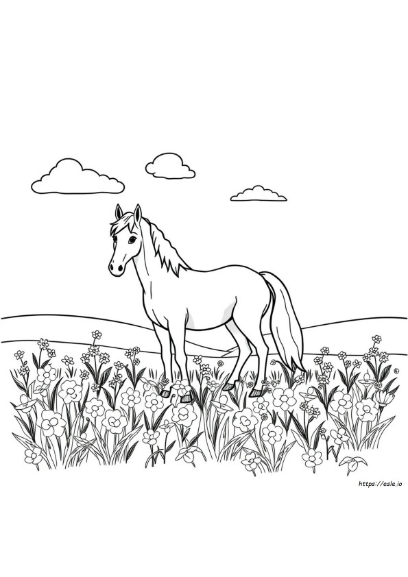Horse Colouring Pictures