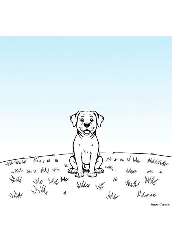 Kolay Köpek Boyama Sayfaları Yazdırılabilir