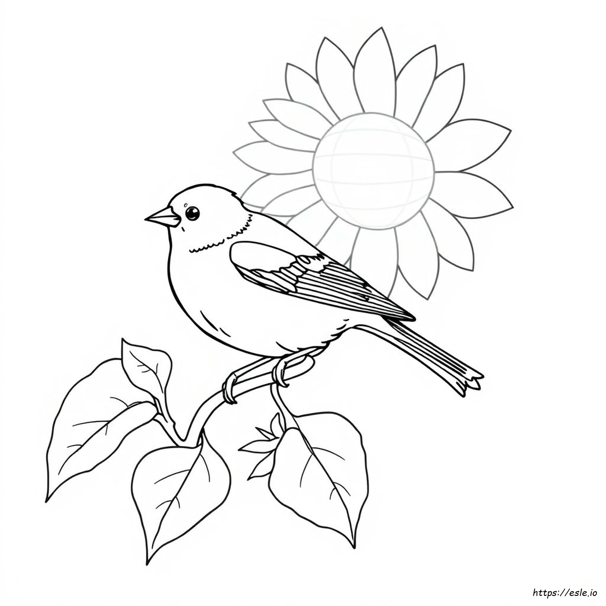 Coloriage Chardonneret Jaune
