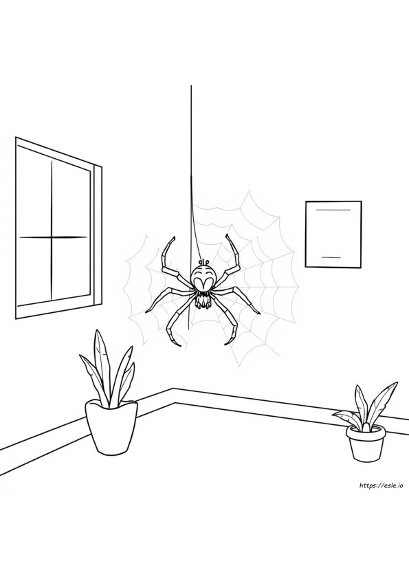Dibujos Para Colorear De Arañas