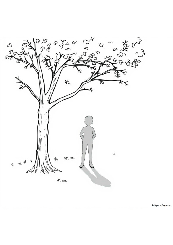 Coloriage Ombre À Imprimer Gratuit