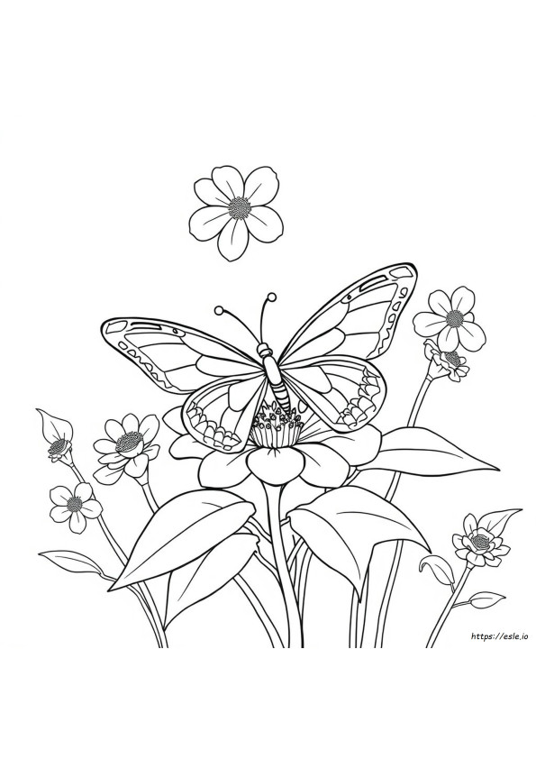 Grandes Dibujos Para Colorear De Mariposas