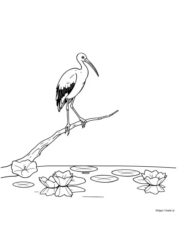 Páginas Para Colorir Ibis Paint