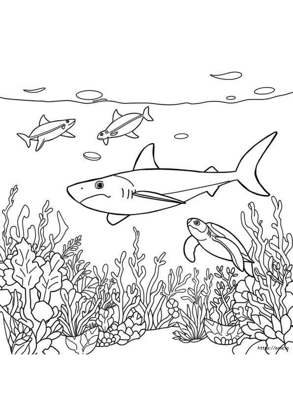 海の生き物 ぬりえ 無料