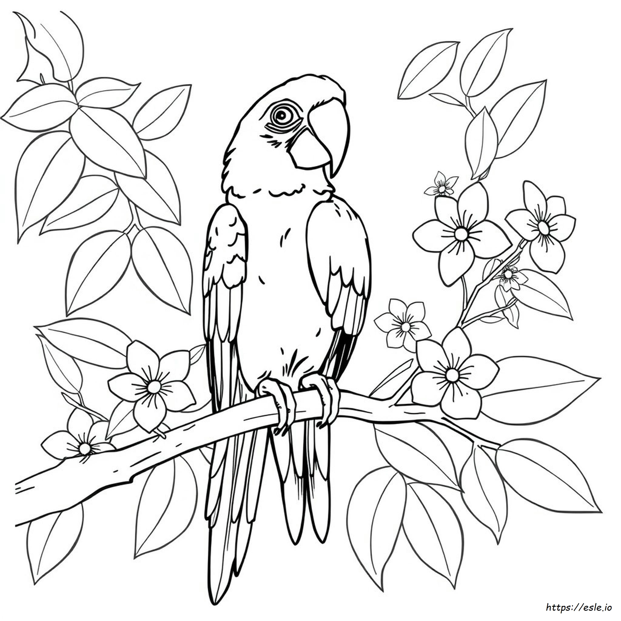 Hyacinth Macaw Coloring Pages