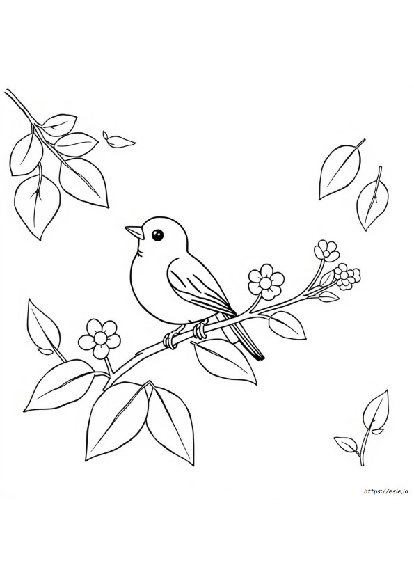 Coloriage Oiseau