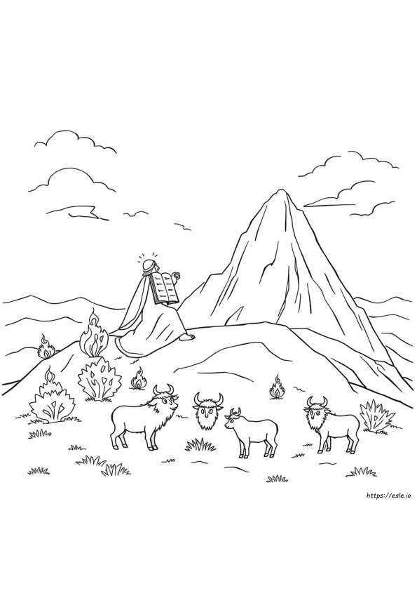 Bible Character Coloring
