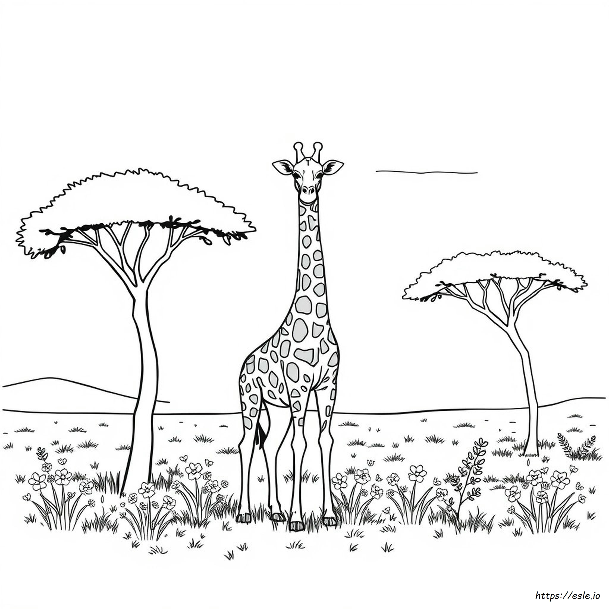 Giraffe Coloring Book Page