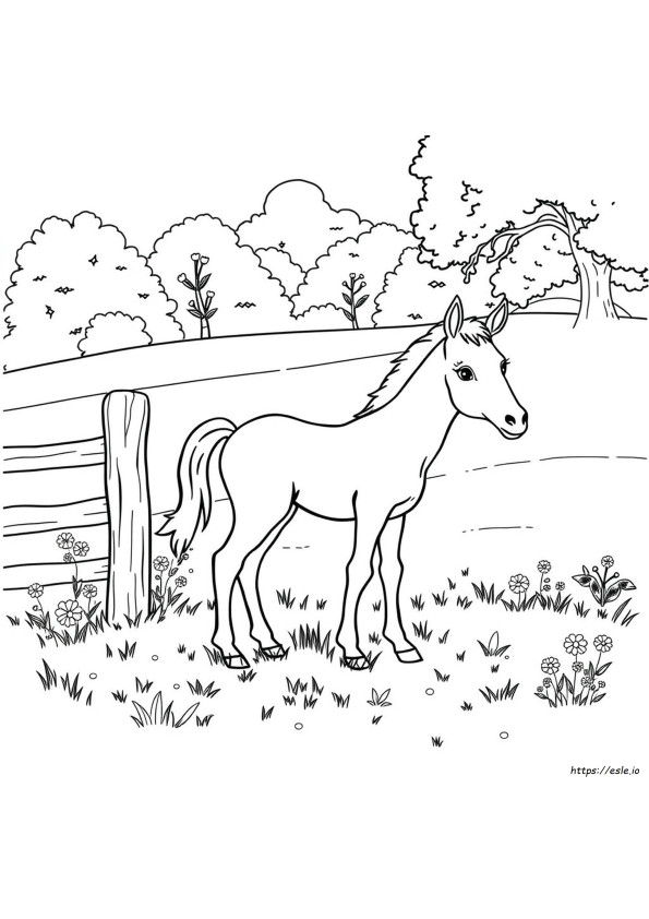 Pônei Potro Para Colorir