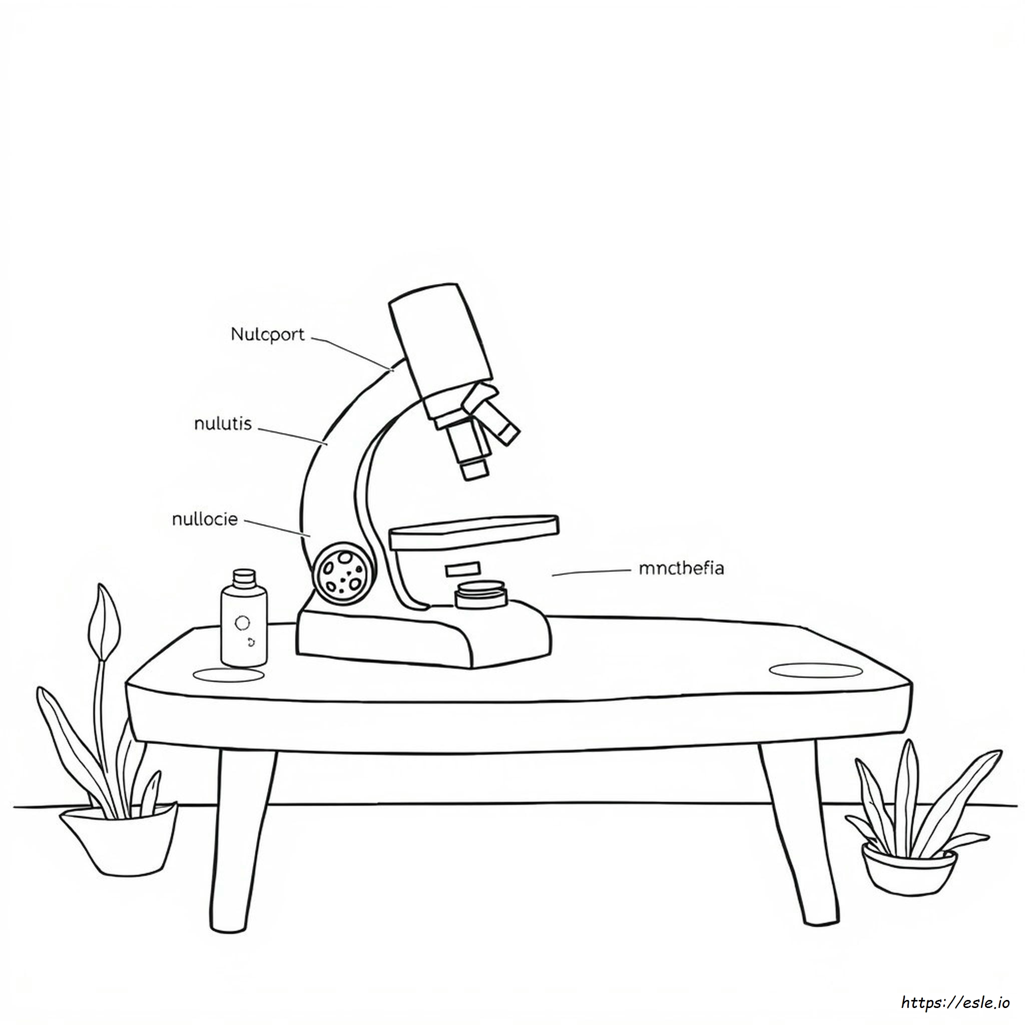 Kolorowanka Biologia