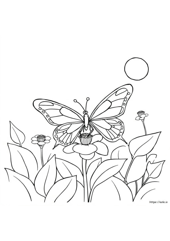 Imágenes De Mariposas Para Colorear