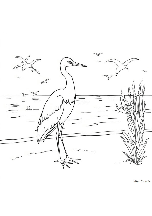 What Is Egret Color