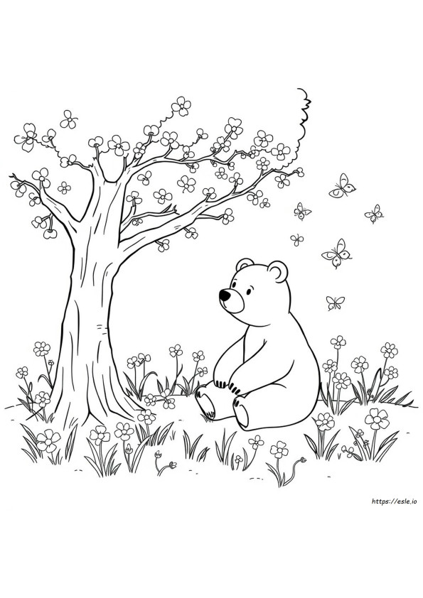 Coloriages Ours