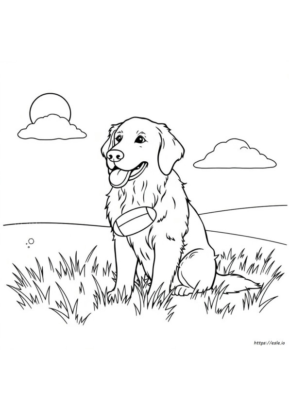 Página Para Colorear De Golden Retriever Gratis
