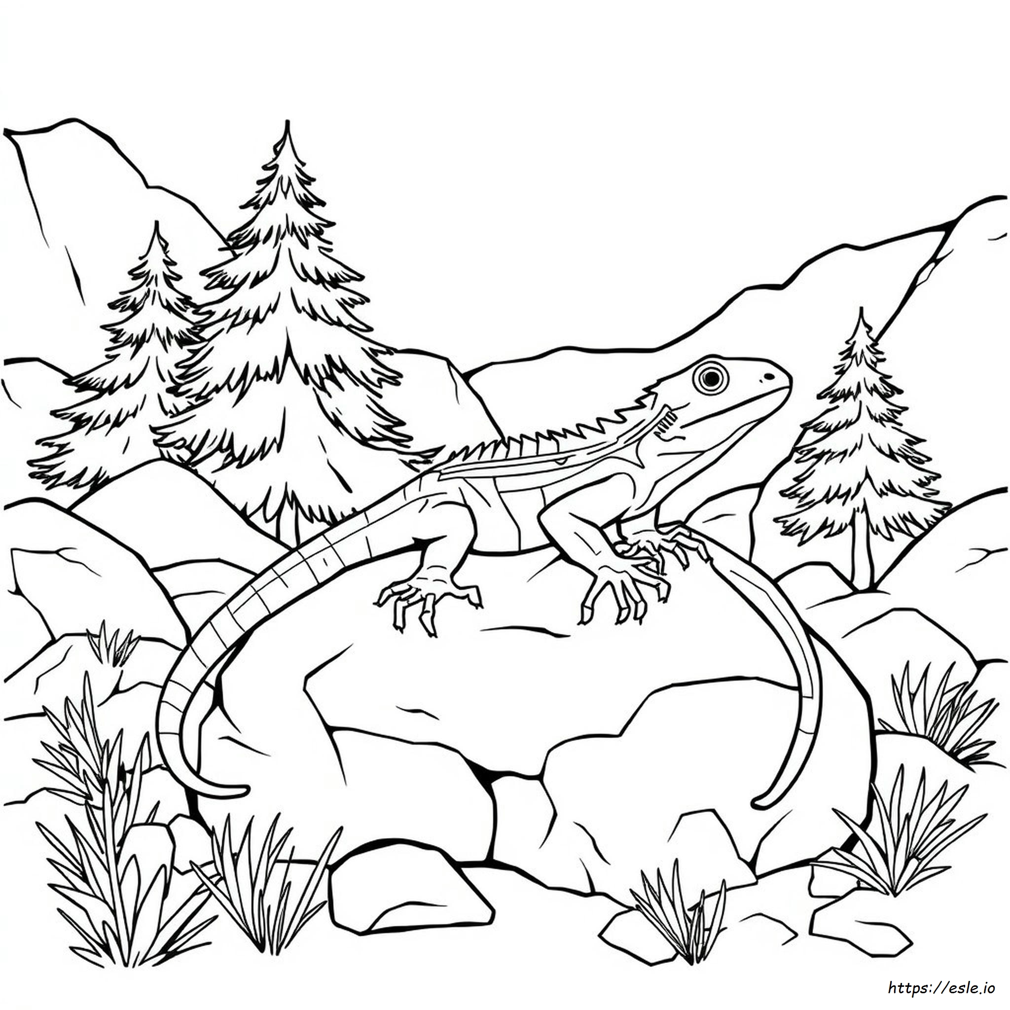Are There Lizards In Colorado