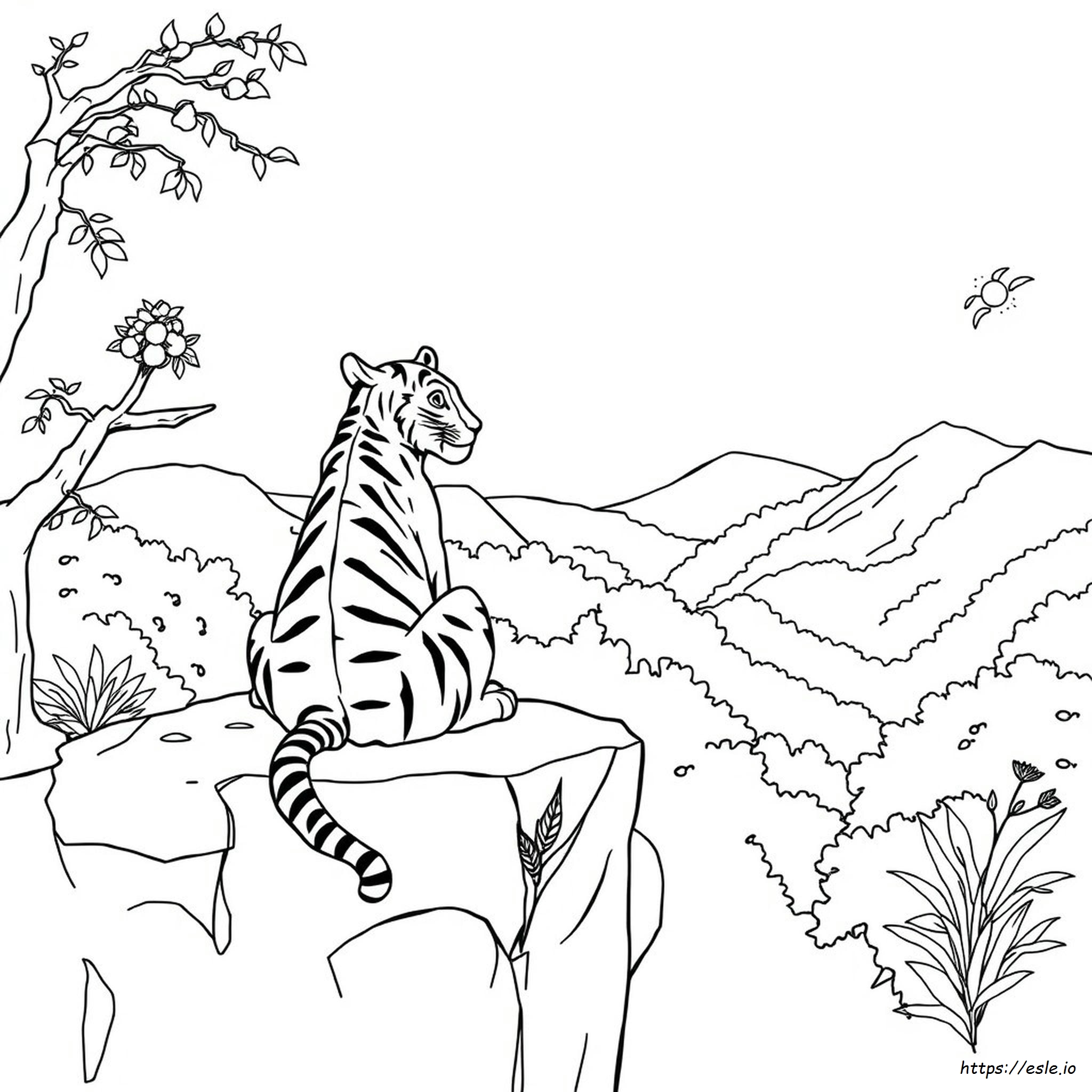 Tiger Colouring Pictures