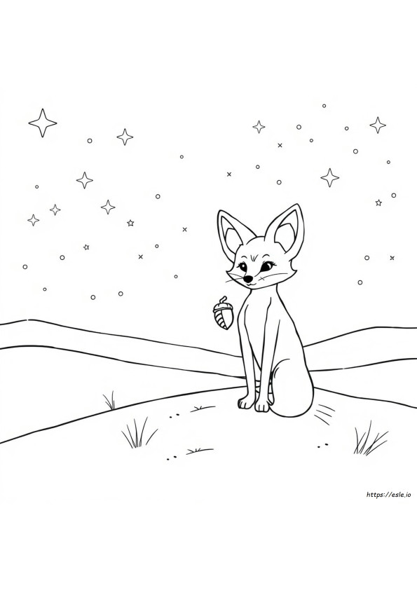 Raposa Do Deserto Fennec Para Colorir