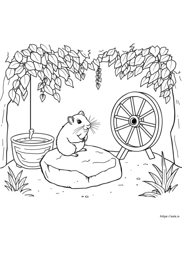 Gambar Mewarnai Hamster Realistis
