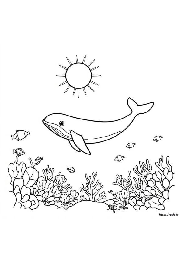 Ocean Themed Coloring Pages