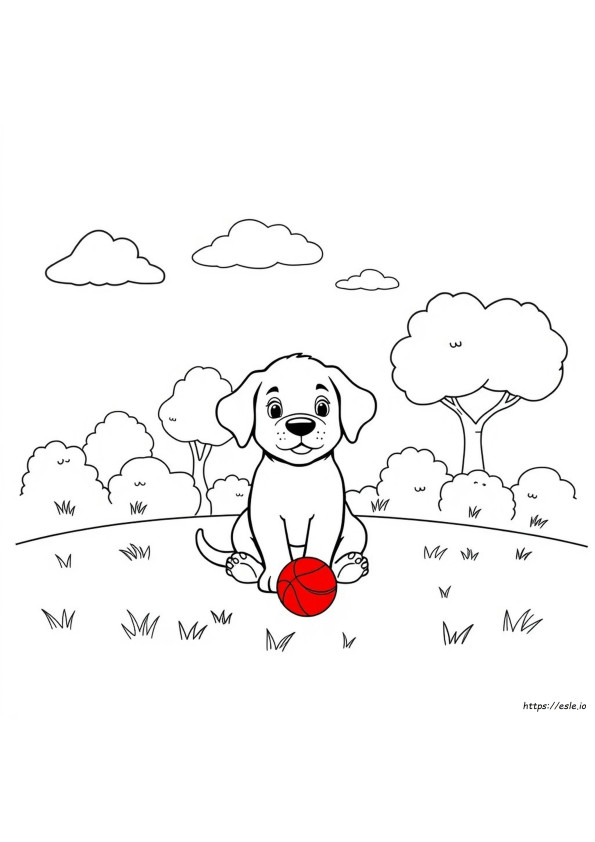 Colouring Puppy