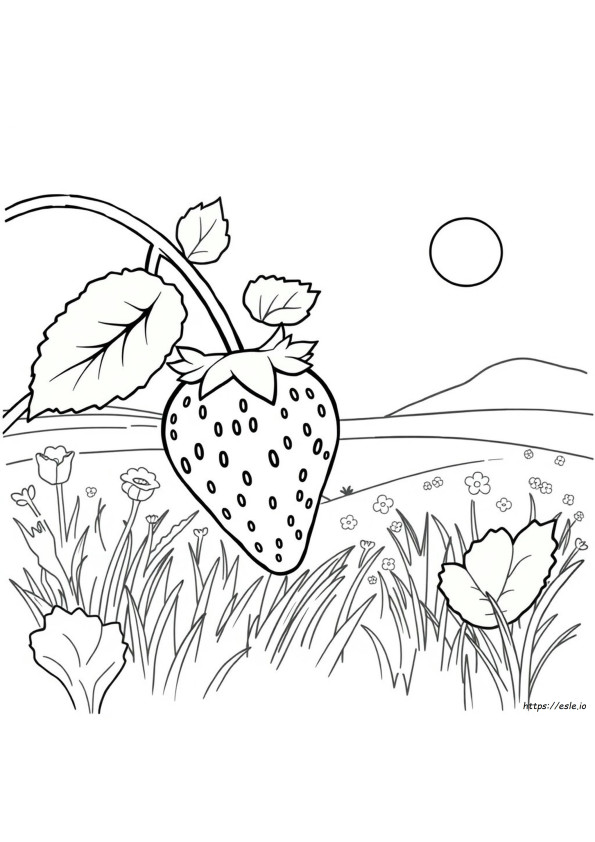 Strawberry Colouring
