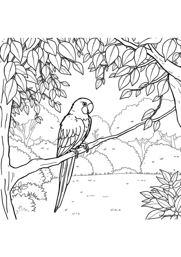 Free Coloring Pages Parrot