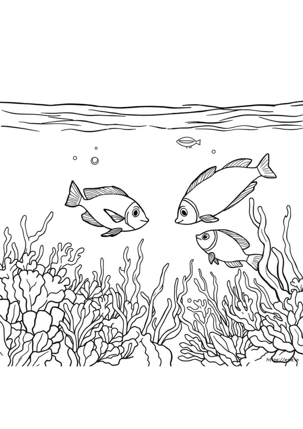 Peixes Tropicais Para Colorir