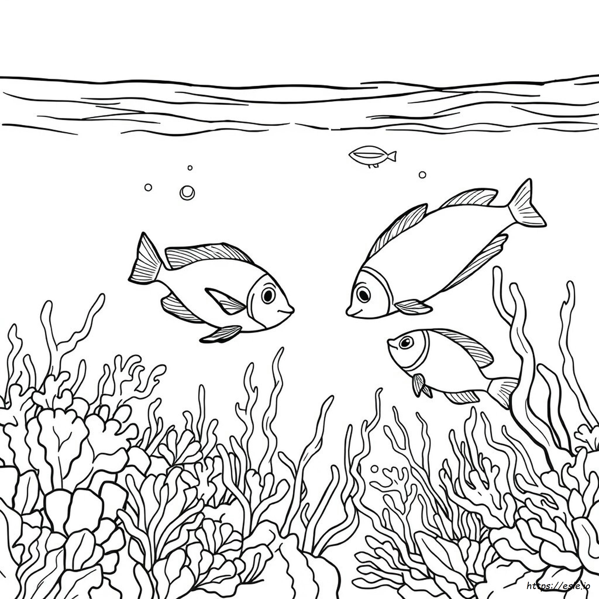 Tropical Fish Coloring Pages
