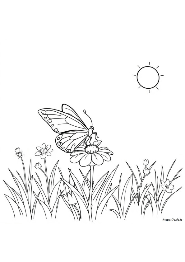 Hoja Para Colorear De Mariposa