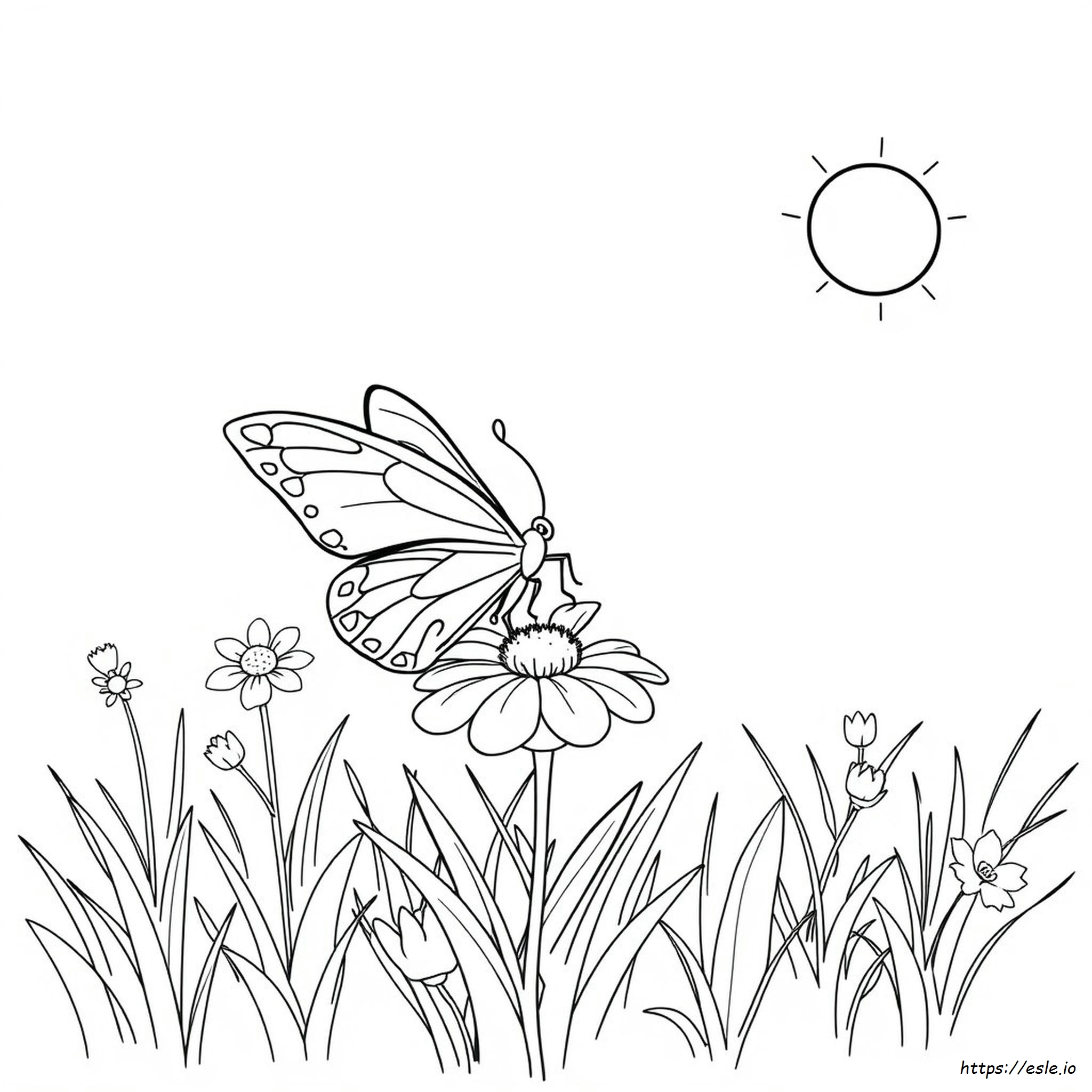 Butterfly Colouring In Sheet