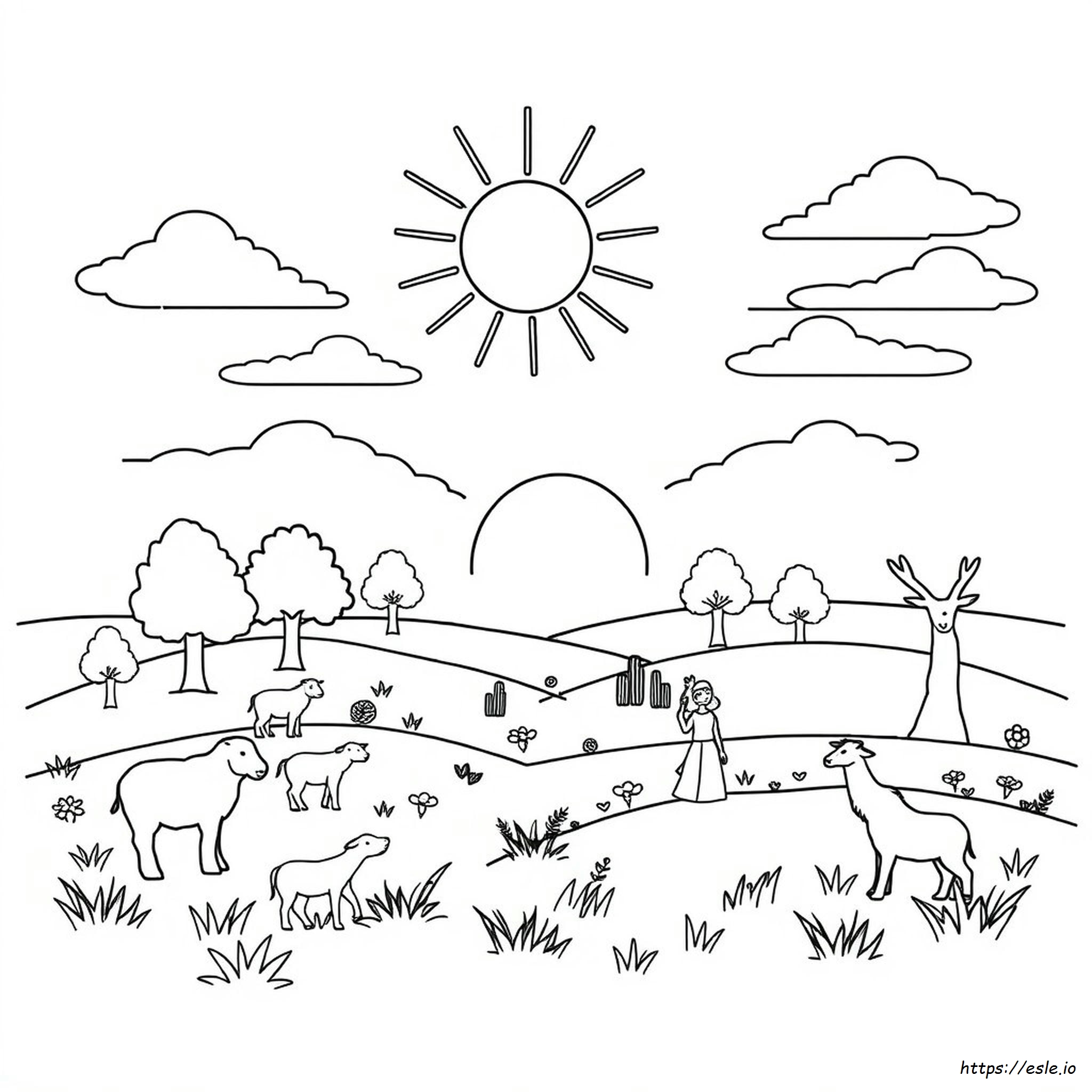 Disegni Da Colorare Gratuiti Sulla Storia Della Creazione