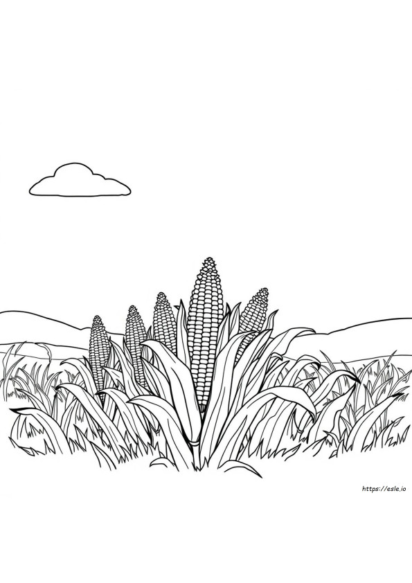Free Printable Indian Corn Coloring Pages
